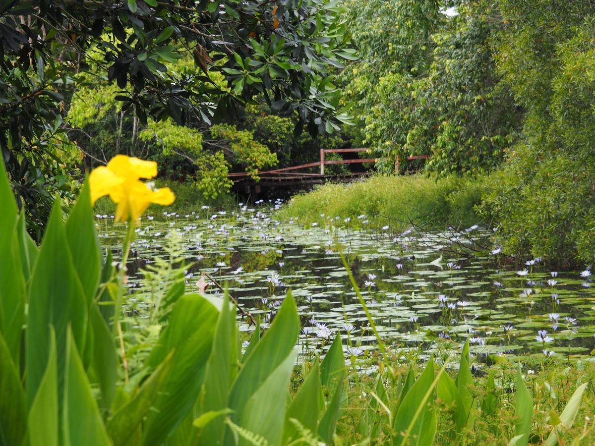 Lilypad Luxury Cabins Беллинген Экстерьер фото